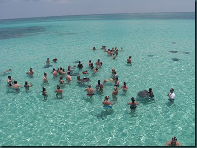 Cayman 2010 076