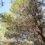 IMG_5167.JPG