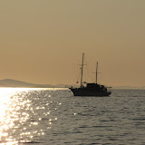 IMG_5249.JPG