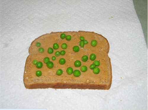 [image[5].png]