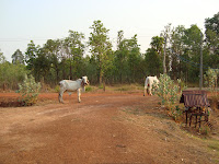 DSC01433.JPG