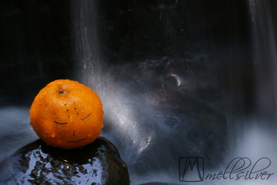 Shaolin Mandarin