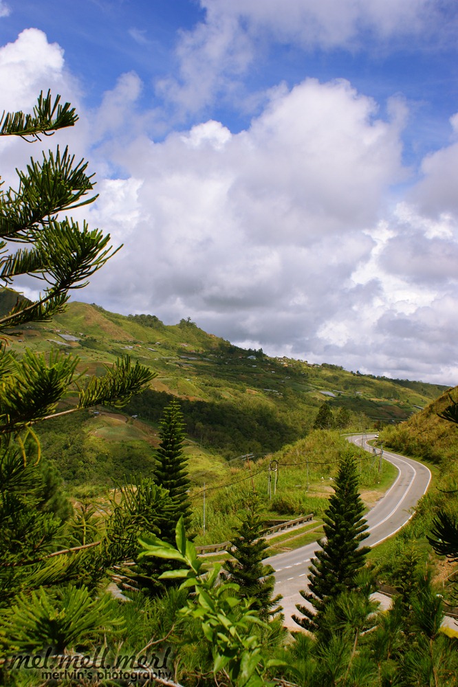 [The_dry_road[1].jpg]