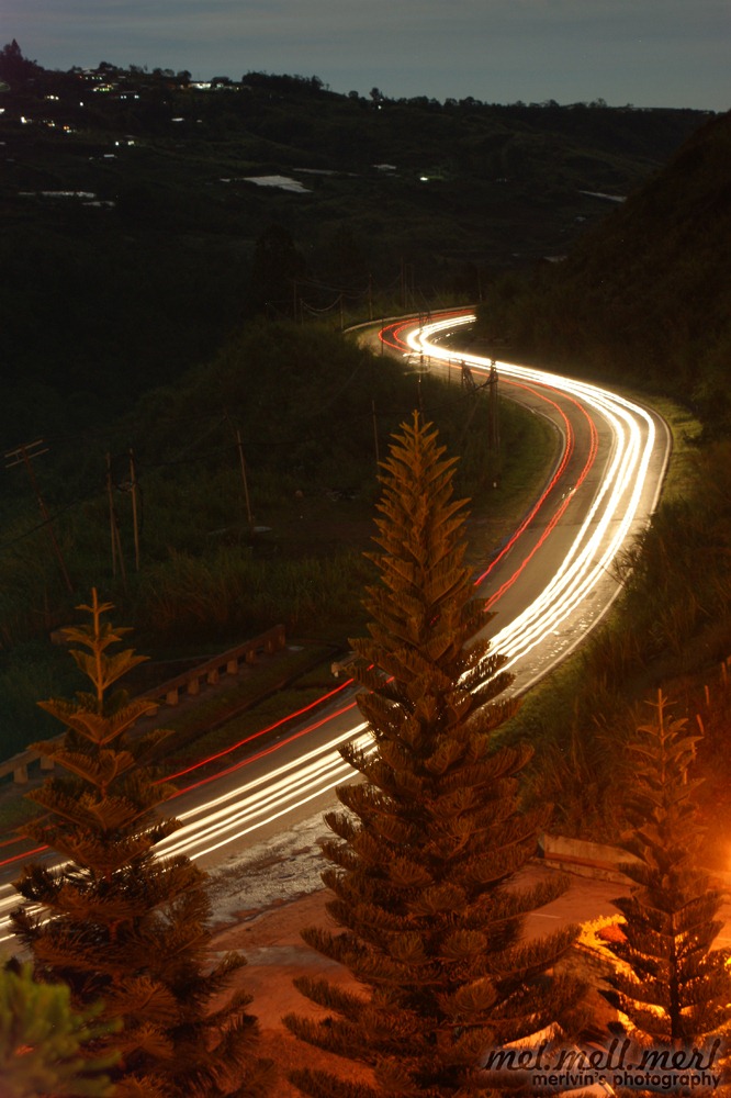 [glowing_snake_03[1].jpg]