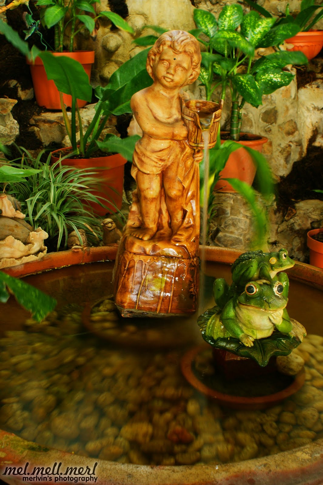 [lol_frog_small[6].jpg]