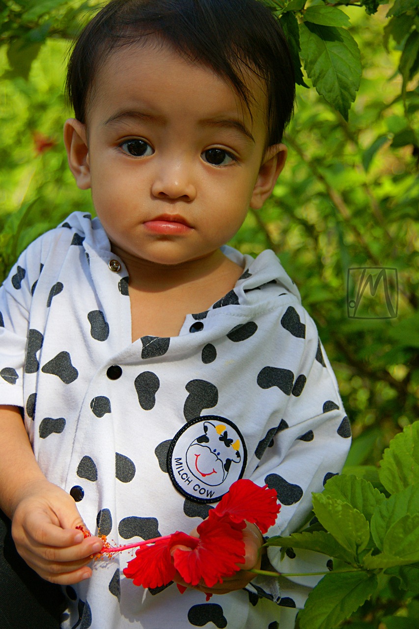 [Pix_DSC00139_s[3].jpg]