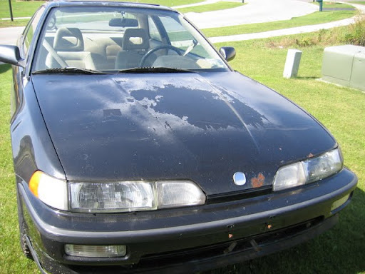 http://lh5.ggpht.com/_LlVpwNhHppI/TJuVQjVXg7I/AAAAAAAAAD0/QYBLrgyHVSI/IMG_0019.JPG