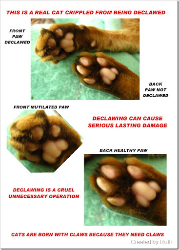 declaw