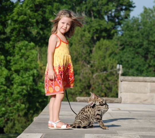 [kathrin-stucki-photos-savannah-cat-and-daughter-1[2].jpg]