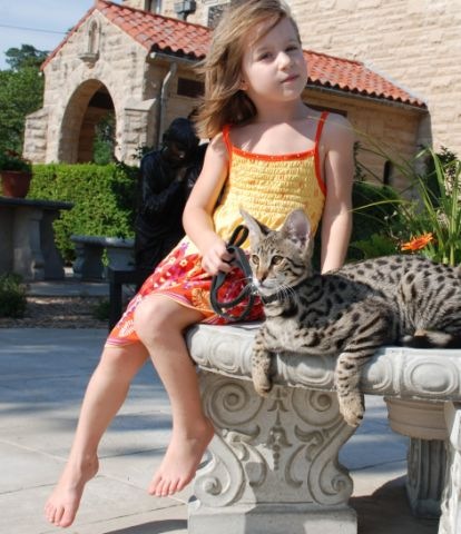 [kathrin-stucki-photos-savannah-cat-and-daughter-4[2].jpg]