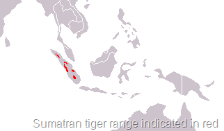 [sumatran-tiger-range[7].png]