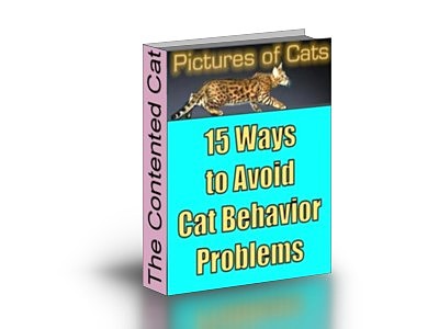 e-book-cover