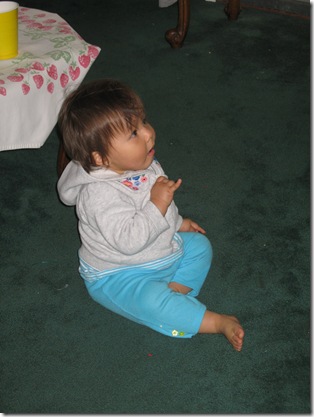 IMG_9350 IMG_9350