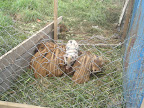 PA210269.JPG