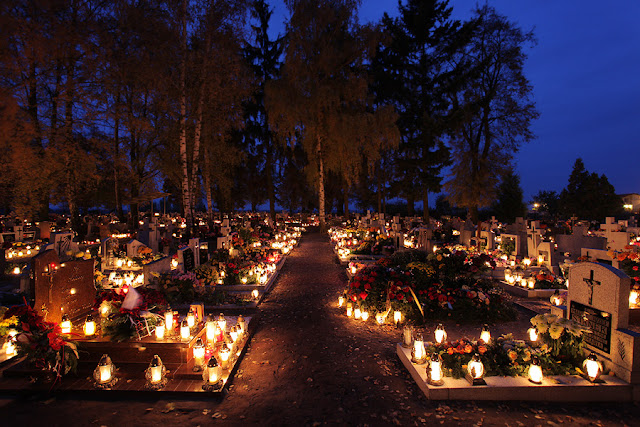 http://lh5.ggpht.com/_Lmms-D6REds/Su8p8sBrFjI/AAAAAAAA0Vk/BRhng2Fw90c/s640/Obraz-072.jpg