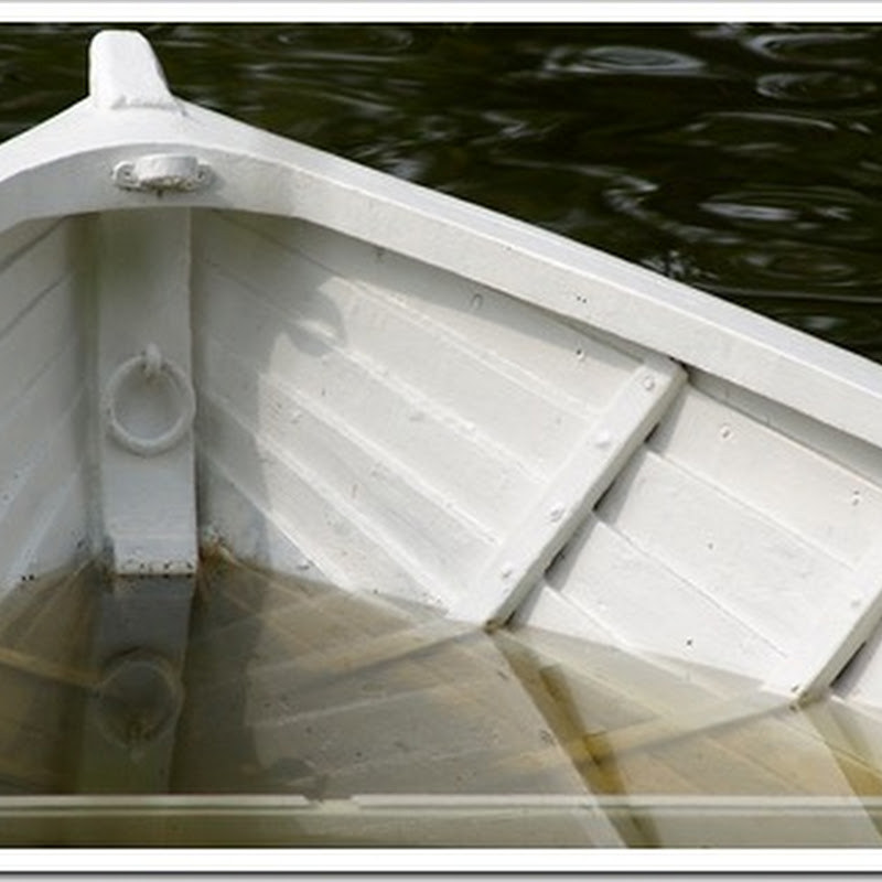 All These Empty Jars Homemade Natural Fruit Chillers or Freeze Pops