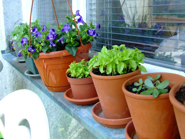 DSCF2111.JPG