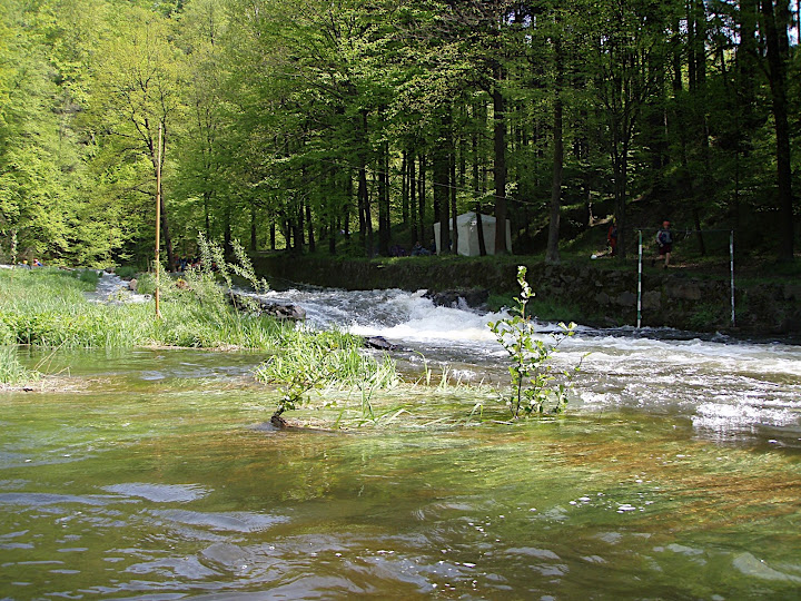 P5080024.JPG
