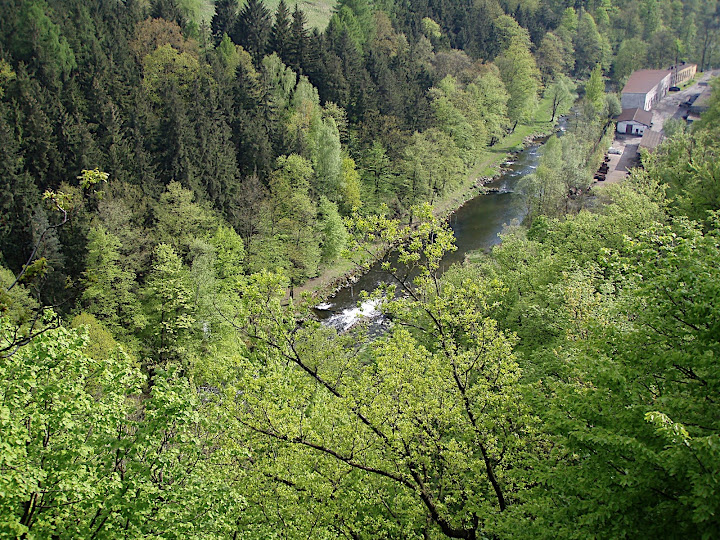 P5080040.JPG