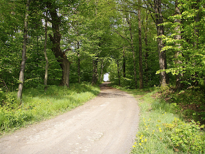 P5080044.JPG