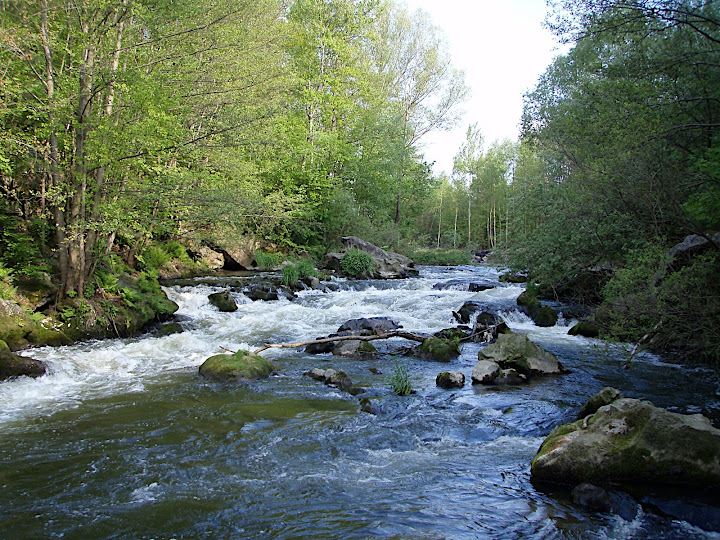 P5090067.JPG