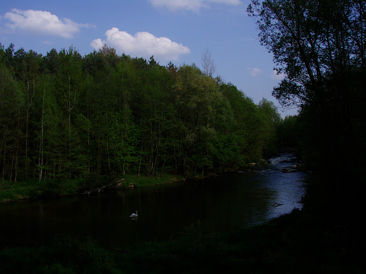 P5090066.JPG