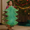 peder-20101222-010.JPG