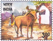 pongal