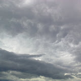 08062009137: