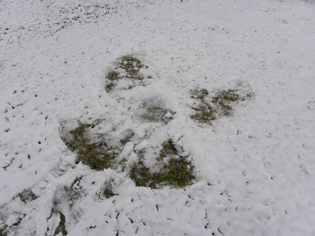 [Snow Feb 2010_16[4].jpg]