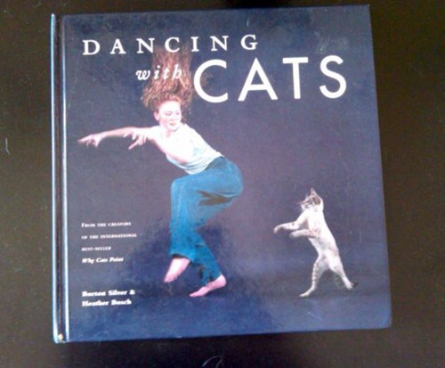 dancing cats
