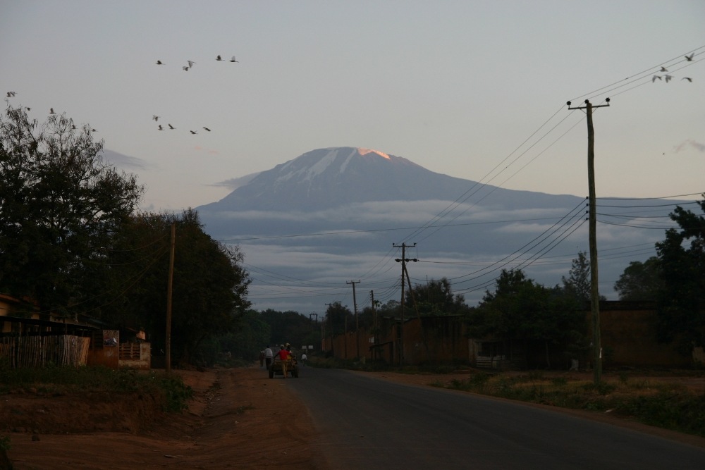 [IMG_14462.jpg]