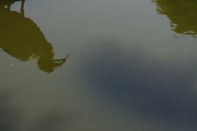 [2010_10_19_95293.jpg]