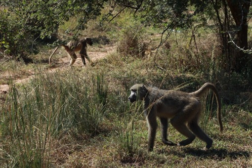 [2010_05_10_11252[3].jpg]