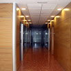 foto15.jpg