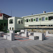 IMG_5950.JPG