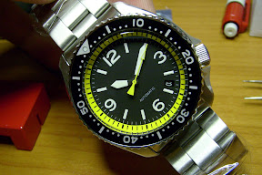 SKX007Zomermod