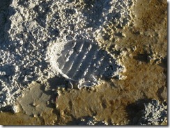 IMG_4164 IMG_4164