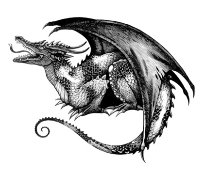 dragon tattoos designs art gallery photo