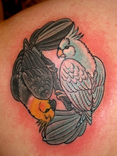 girl shoulder tattoos_17. ornithology tattoos +