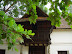 DSC06766.JPG