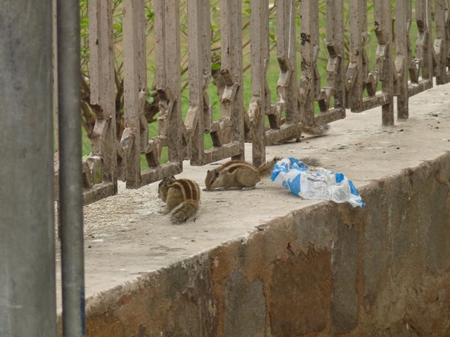 [2008.12_india_0399[3].jpg]