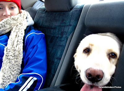 To the beach!