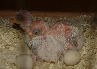 DSCF0025.JPG