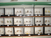 DSCF0223.JPG