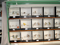 DSCF0222.JPG