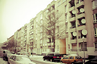 IMG_3269-rubenjoye.jpg Photo