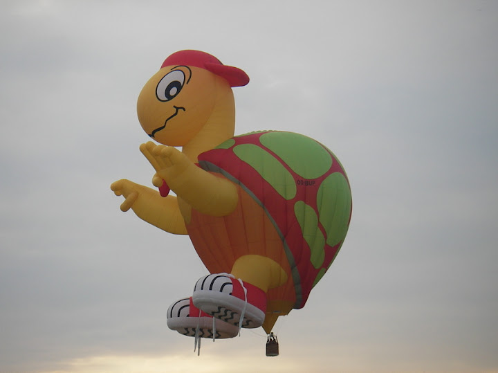 Twente ballooning 2006 in oldenzaal