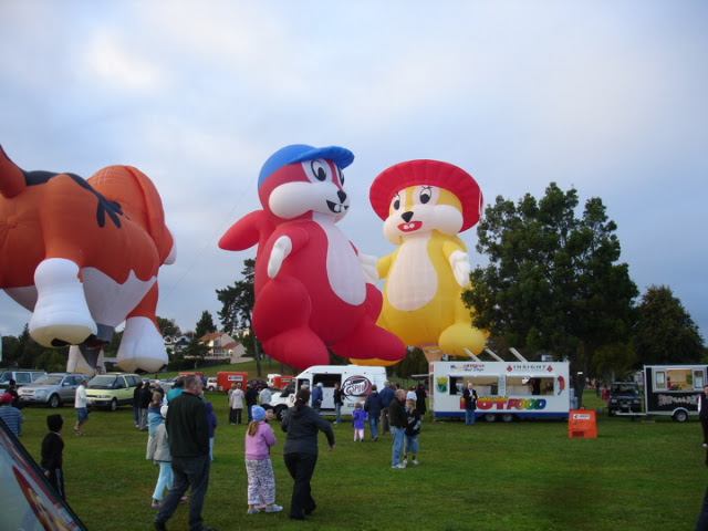 Balloons over Waikato 2007