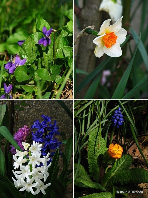 my secret garden 2-1
